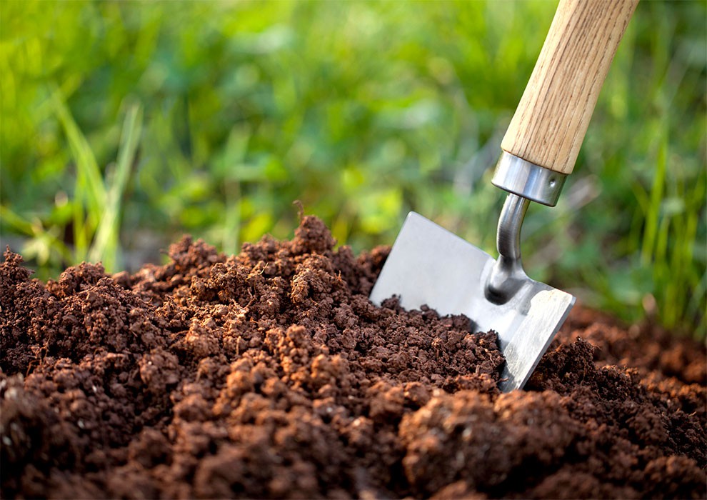 گلیتال - 10 ماده طبیعی برای تقویت خاک گلدان