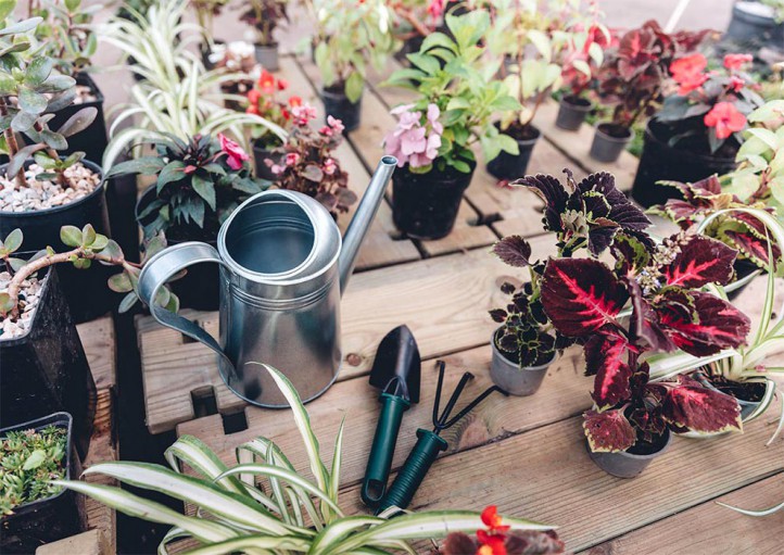 فروشگاه آنلاین گل و گیاه گلیتال | 10 ماده طبیعی برای تقویت خاک گلدان