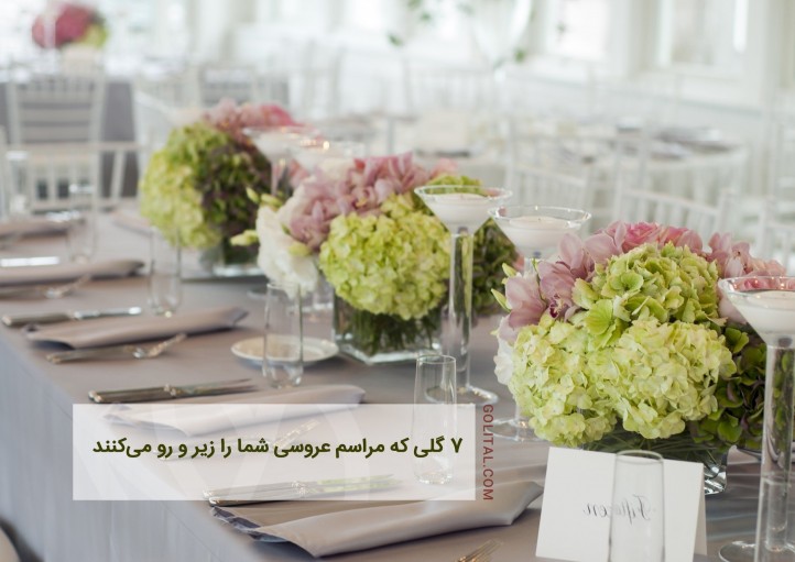 فروشگاه آنلاین گل و گیاه گلیتال | 7 گلی که مراسم عروسی شما را زیر و رو می کنند