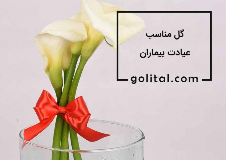 فروشگاه آنلاین گل و گیاه گلیتال | سبد گل برای عیادت بیمار