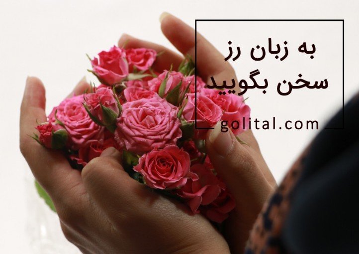 فروشگاه آنلاین گل و گیاه گلیتال | گل رز نماد چیست؟