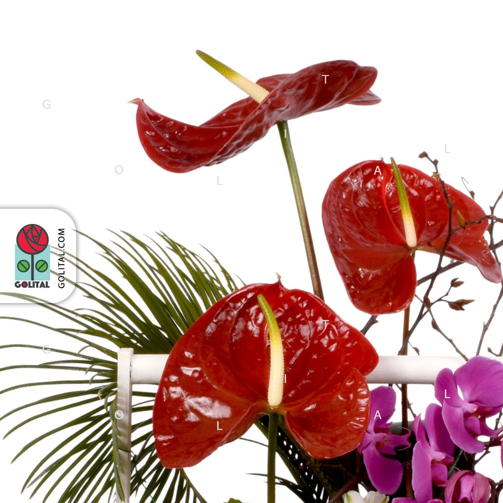 خرید گل سبد گل آتریسا