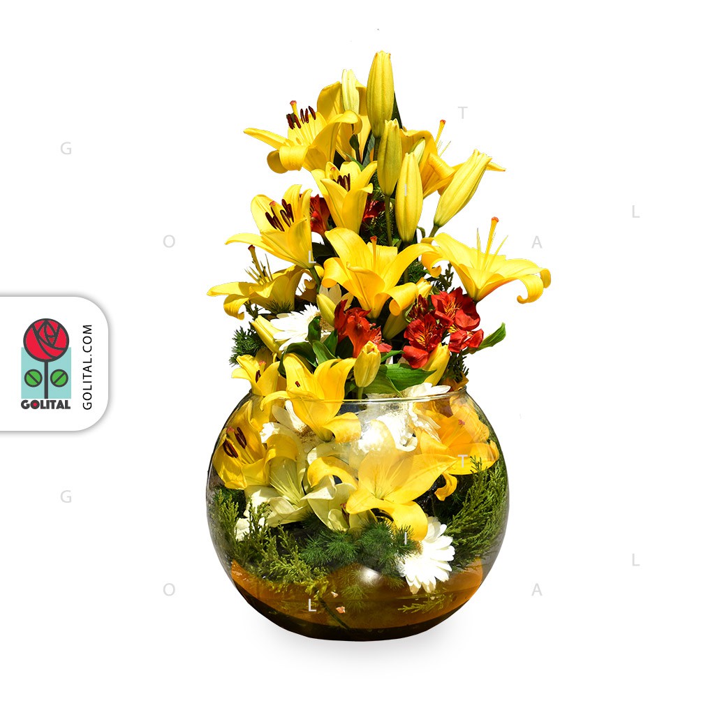 خرید تنگ گل رونیا از گلیتال