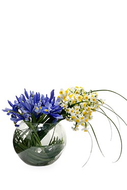 خرید پکیج یلدای محیا