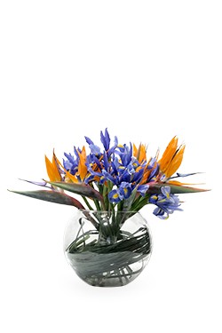 خرید پکیج یلدای میچکا